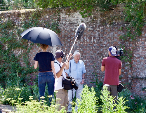 Filming with David Attenborough during covid restrictions