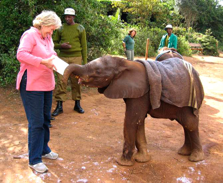 Cynthia feeding calf