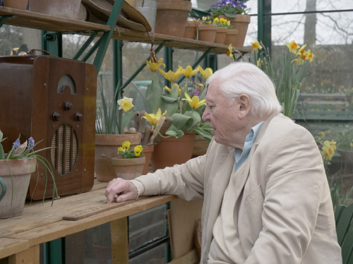 David attenborough with 